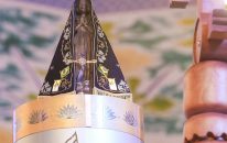 48887121583_820b25b70b_c