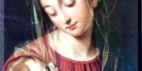 Cópia de 6d22efb5-9f55-4cfe-bf44-275936c41f48