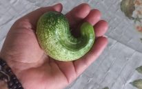 WhatsApp Image 2024-10-23 at 16.42.49 (1)