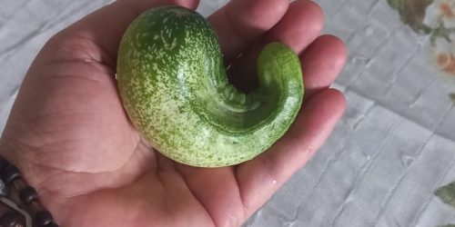 WhatsApp Image 2024-10-23 at 16.42.49 (1)