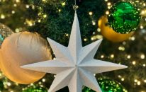 pexels-mac-herman-2018618668-29075931