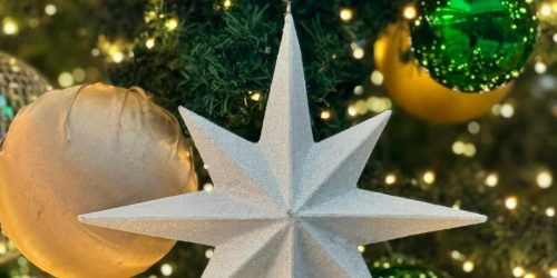 pexels-mac-herman-2018618668-29075931