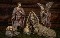 pexels-myriams-fotos-14692977