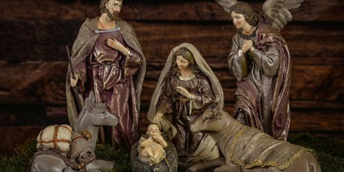 pexels-myriams-fotos-14692977