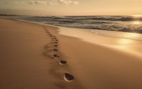 Testemunhos de vida: Como a providência mudou a história de pessoas